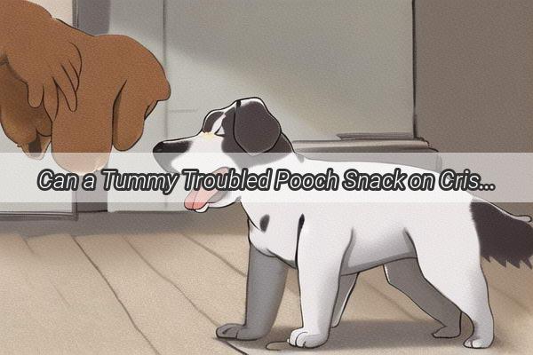 Can a Tummy Troubled Pooch Snack on Crisps Discover the Truth Behind Feeding Your Furry Friend After Vomiting